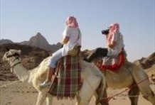 Star Gazing Camel Ride